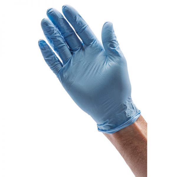 Large Nitrile Gloves (Pack of 10)